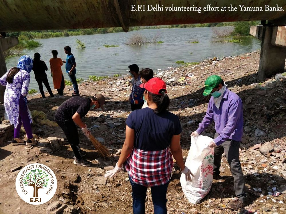 Our Projects - Environmentalist Foundation of India